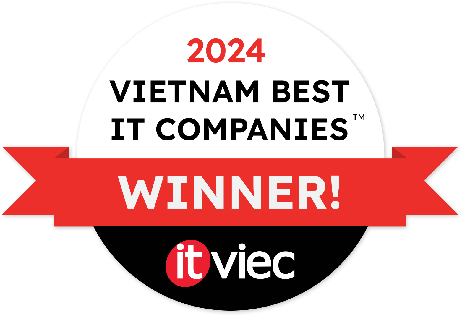 Top 30 Best IT Companies In Vietnam 2024 To Work For ITviec   Logo VBIT 2024 02 Shadow (1) 